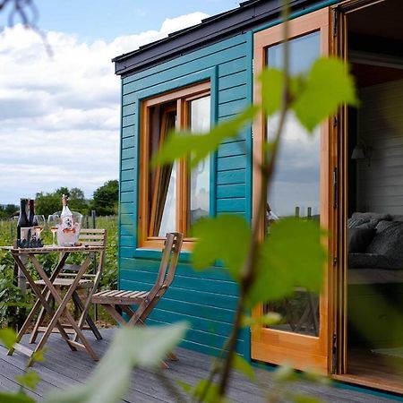 Tiny House In The Vineyard By Gramofon Wine Hotel Iordachianu Exterior foto