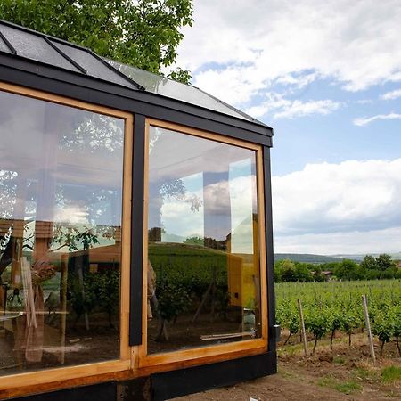 Tiny House In The Vineyard By Gramofon Wine Hotel Iordachianu Exterior foto