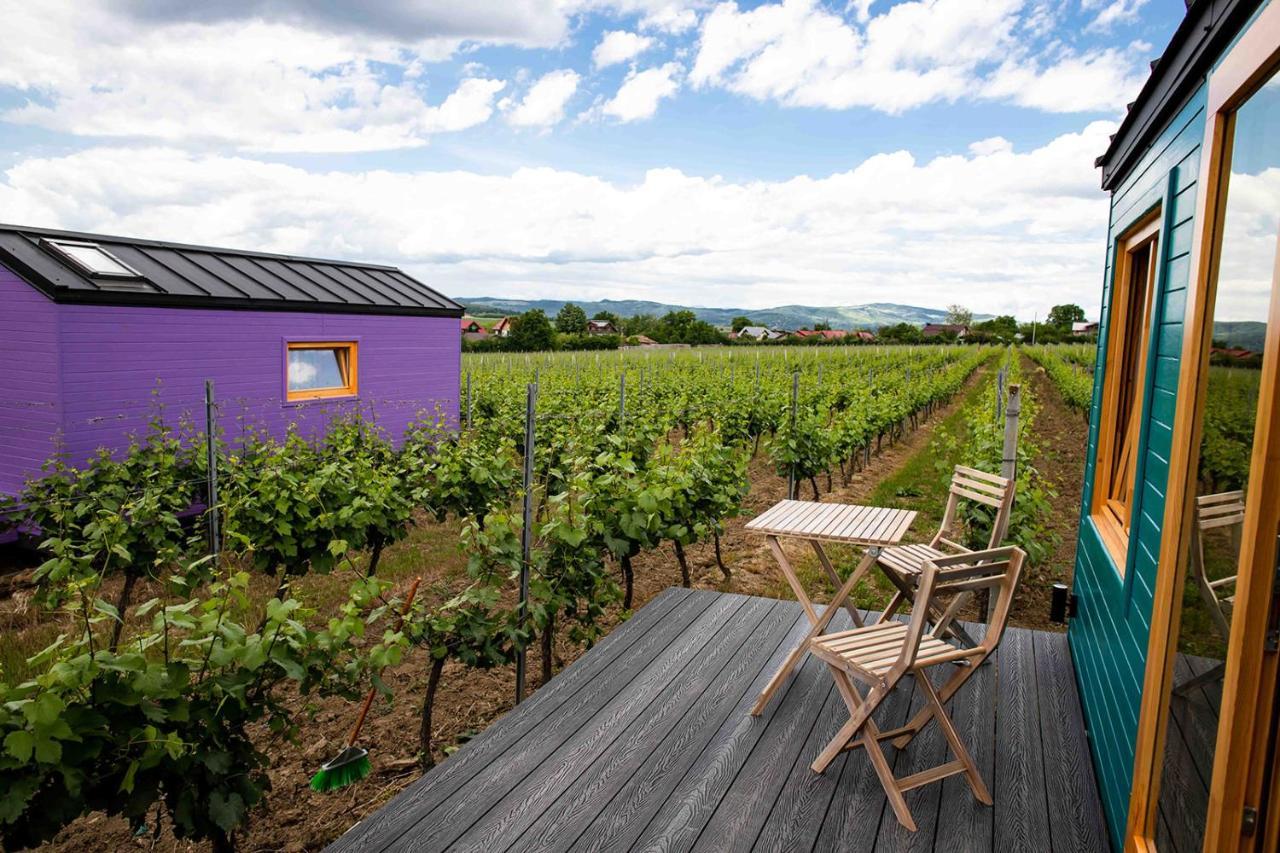 Tiny House In The Vineyard By Gramofon Wine Hotel Iordachianu Exterior foto