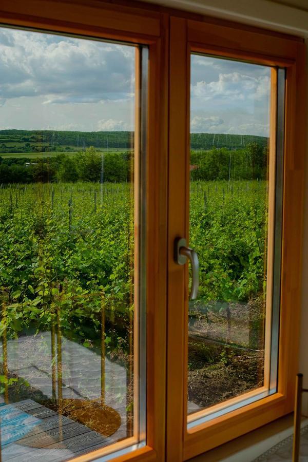 Tiny House In The Vineyard By Gramofon Wine Hotel Iordachianu Exterior foto