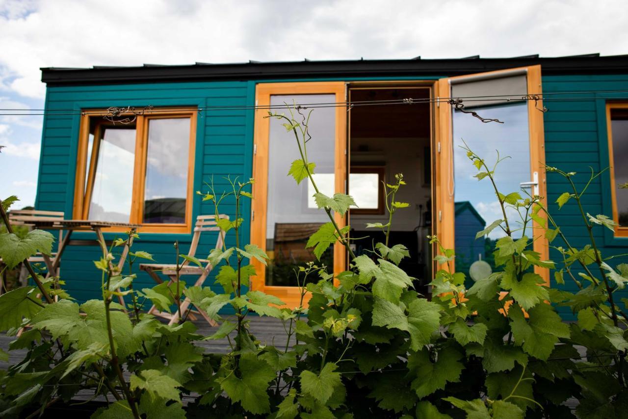 Tiny House In The Vineyard By Gramofon Wine Hotel Iordachianu Exterior foto