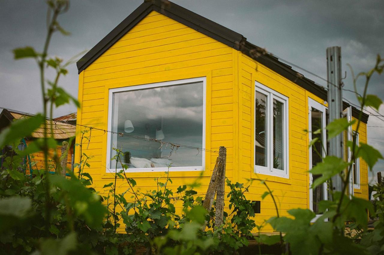 Tiny House In The Vineyard By Gramofon Wine Hotel Iordachianu Exterior foto