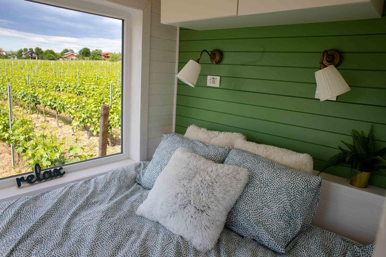 Tiny House In The Vineyard By Gramofon Wine Hotel Iordachianu Exterior foto
