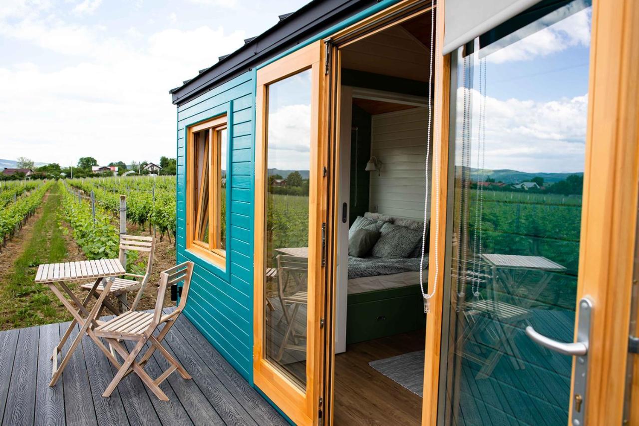 Tiny House In The Vineyard By Gramofon Wine Hotel Iordachianu Exterior foto
