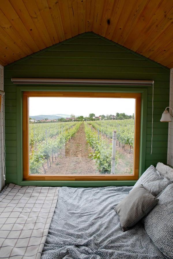 Tiny House In The Vineyard By Gramofon Wine Hotel Iordachianu Exterior foto