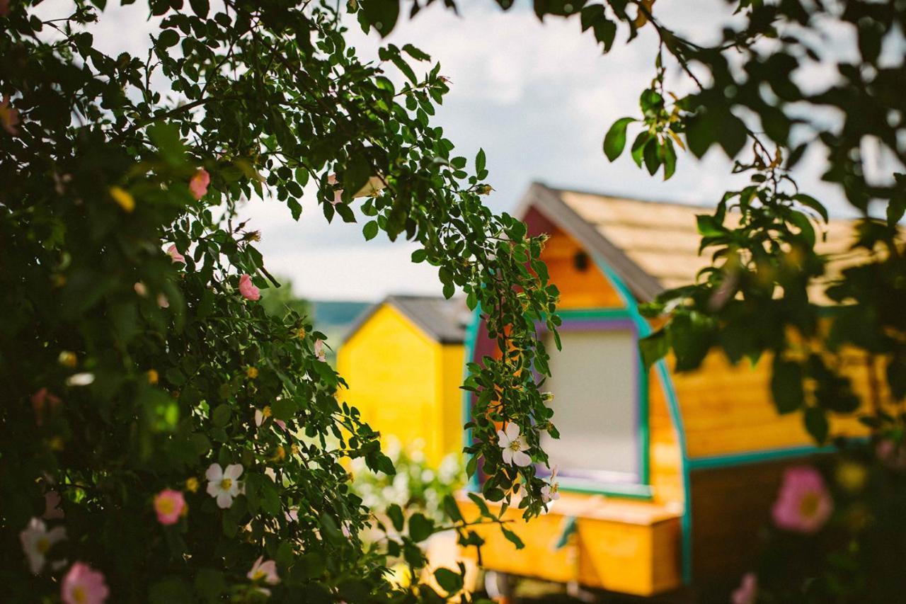 Tiny House In The Vineyard By Gramofon Wine Hotel Iordachianu Exterior foto