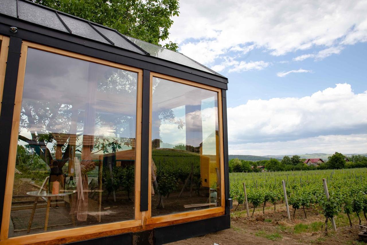 Tiny House In The Vineyard By Gramofon Wine Hotel Iordachianu Exterior foto