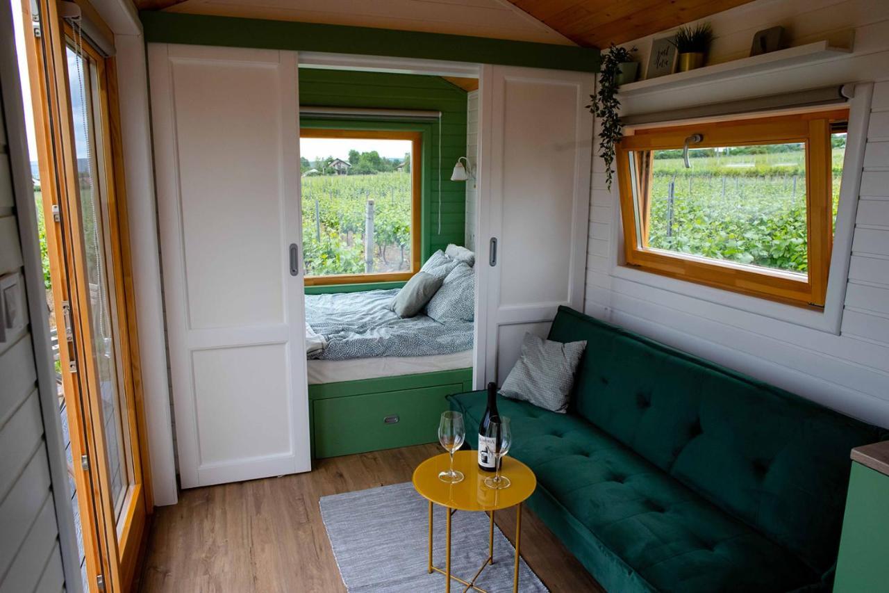 Tiny House In The Vineyard By Gramofon Wine Hotel Iordachianu Exterior foto