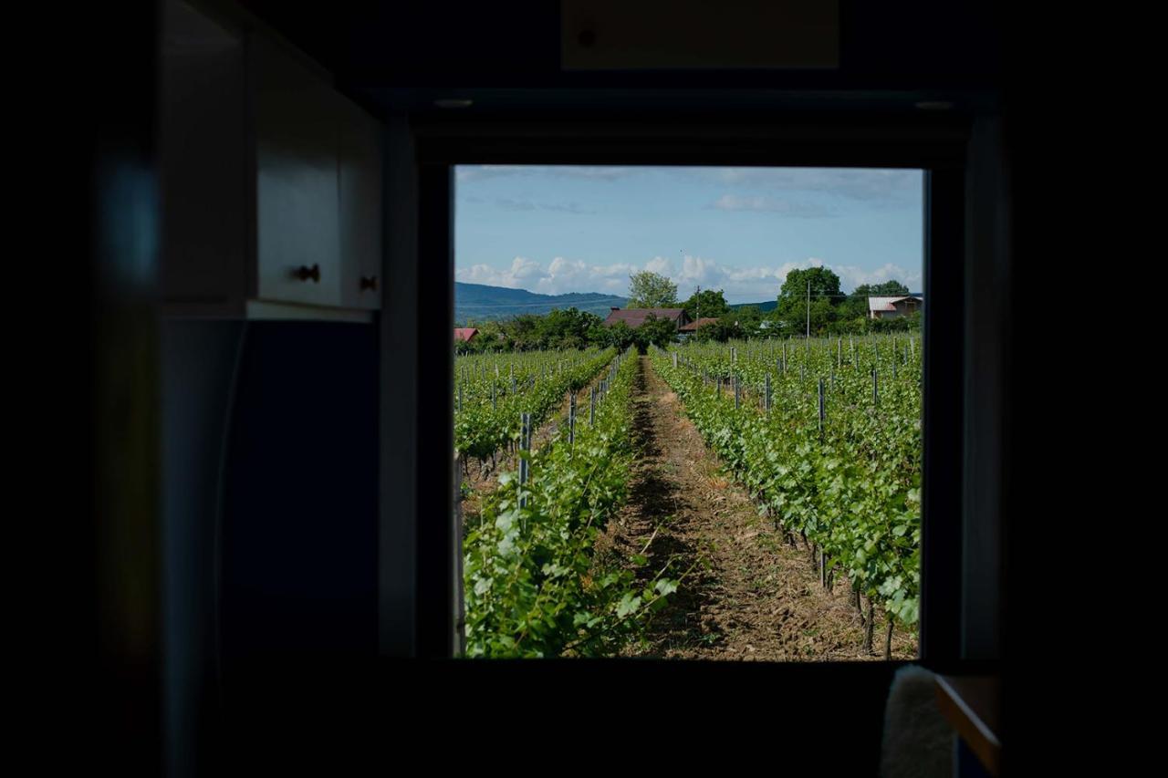 Tiny House In The Vineyard By Gramofon Wine Hotel Iordachianu Exterior foto