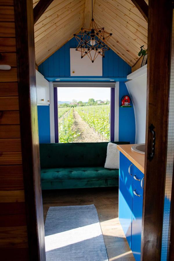 Tiny House In The Vineyard By Gramofon Wine Hotel Iordachianu Exterior foto