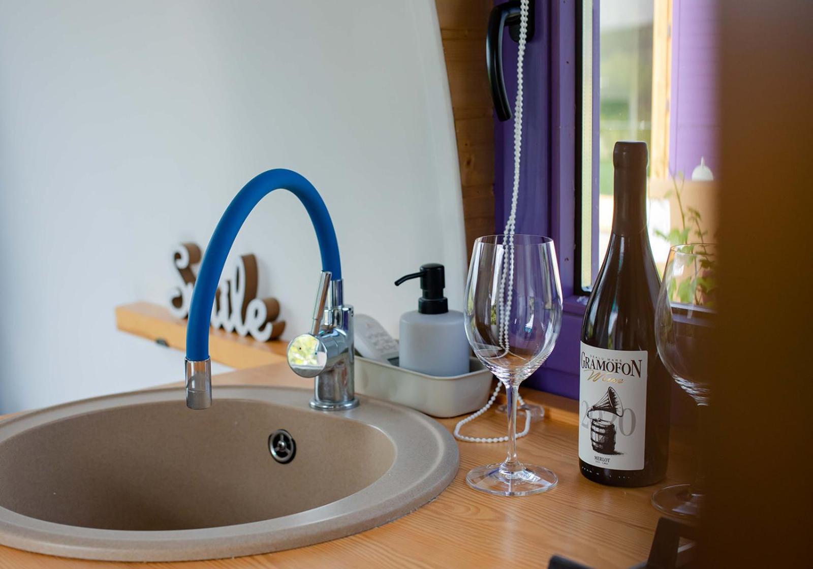 Tiny House In The Vineyard By Gramofon Wine Hotel Iordachianu Cameră foto