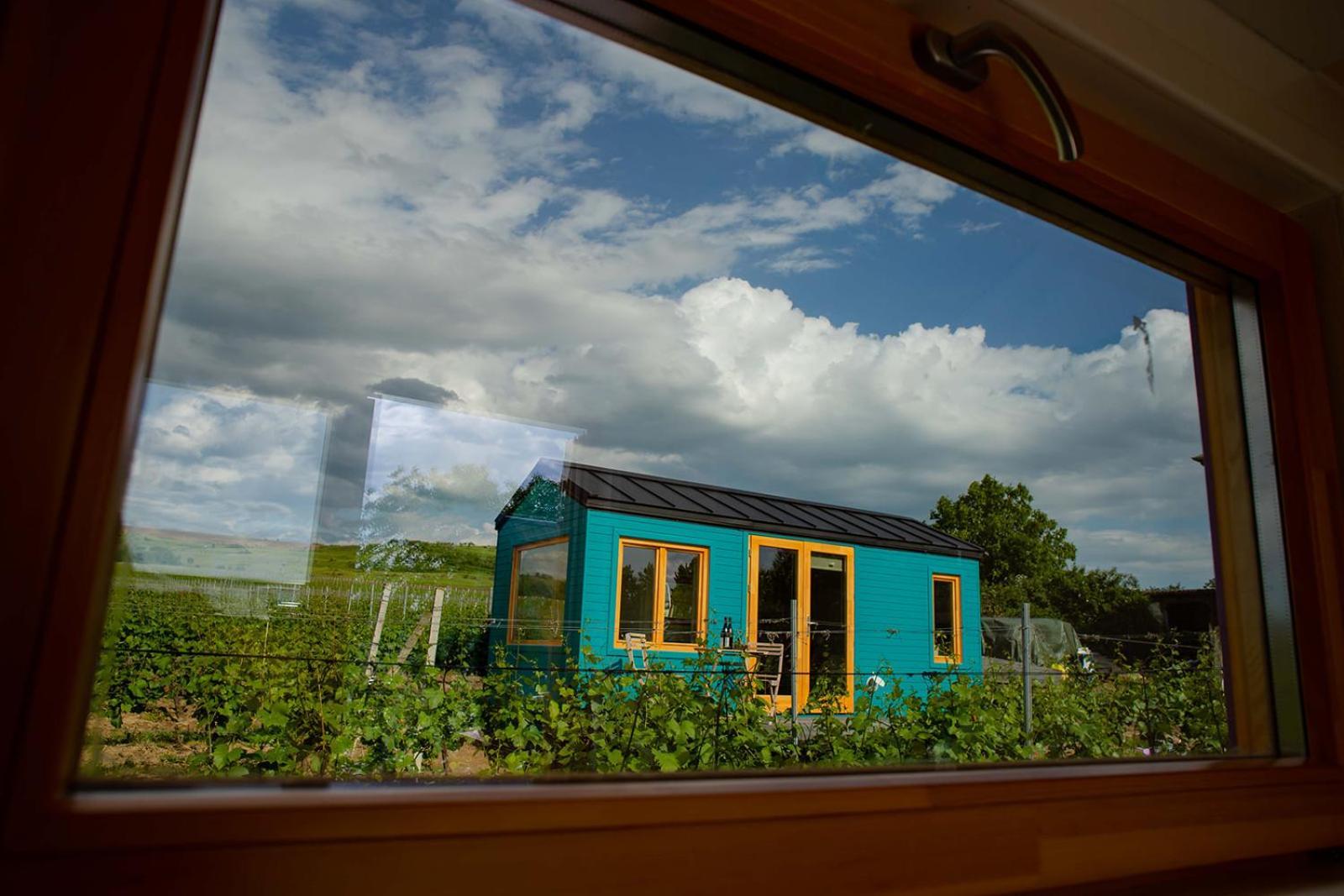 Tiny House In The Vineyard By Gramofon Wine Hotel Iordachianu Cameră foto