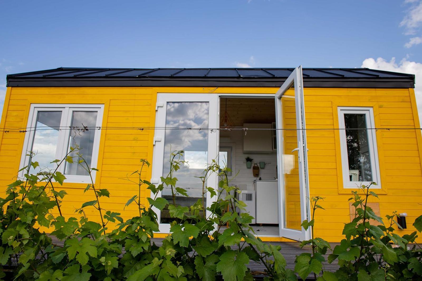Tiny House In The Vineyard By Gramofon Wine Hotel Iordachianu Cameră foto