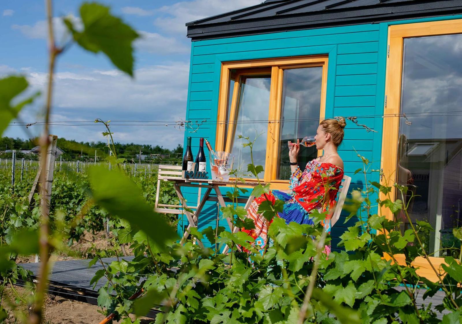 Tiny House In The Vineyard By Gramofon Wine Hotel Iordachianu Cameră foto