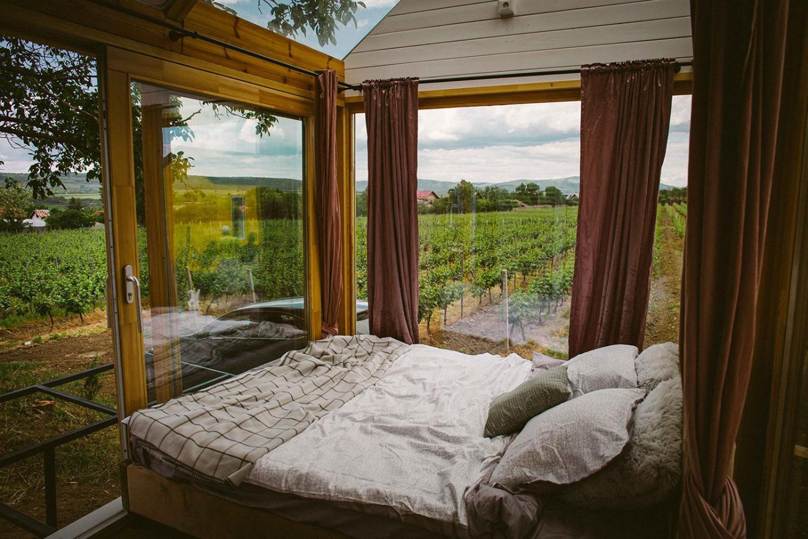 Tiny House In The Vineyard By Gramofon Wine Hotel Iordachianu Cameră foto